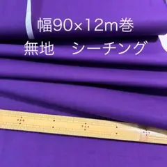 Item thumbnail for item 552c9553-ebfc-46e6-97b8-a24bdbef2fa8