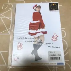 生写真セット　谷本安美