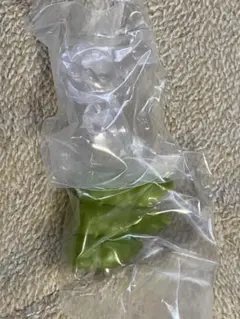 まちぼうけ お疲れさまの場合 とっくり＆おちょこ 枝豆