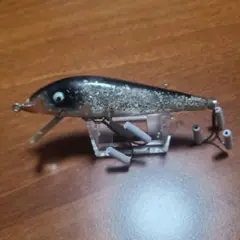 ヒラタクワガタ★ご希望額はコメントで♪♪　ヘドン マグナムタイガー ヒラタクワガタ☆ご希望額はコメントで♪♪ ヘドン マグナム
