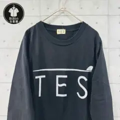 【超美品】TES The Endless summer ロゴT ブラックXS