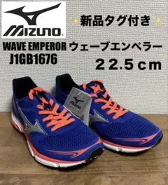 ✨新品✨【MIZUNOミズノ】ウェーブエンペラー/ランニングシューズ22.5cm