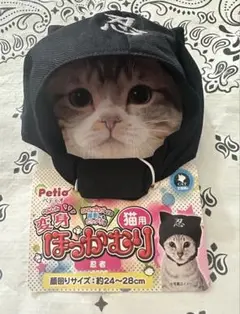 Item thumbnail for item 53237ca9-445a-432b-a589-11b87562870a