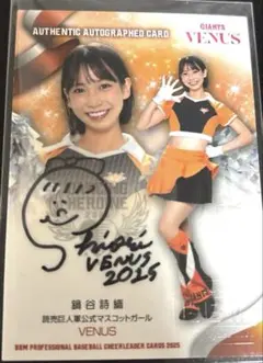 Item thumbnail for item 3d586eda-65a5-4a66-84b5-26a1804f3466