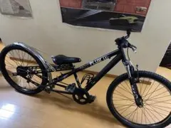ロンホイ自転車