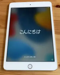 iPad mini4 Cellular&Wi-Fiタイプ 16GB 完動・美品