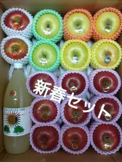 ◆新春セット◆青森県産りんごu0026りんごジュース