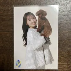 日向坂46濱岸ひより　過去衣装生写真　シークレット白　チュウ