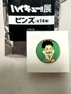 岩泉一 ハイキュー展 ピンズ