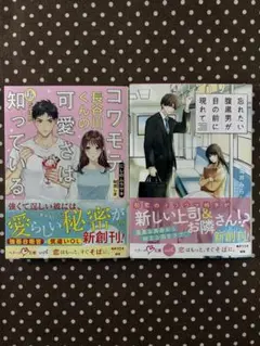 【8月新刊】TL小説ベリーズ文庫with2冊セット にしのムラサキ•滝井みらん