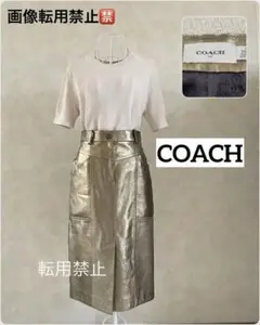 ⚠️画像転用禁止　COACH メタリックレザースカート　ひざ下　美品　Sサイズ