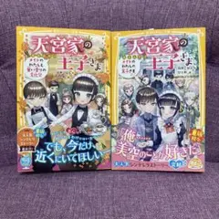 【最新巻含む】天宮家の王子さま メイドのわたしの王子さま10・11巻 2冊セット