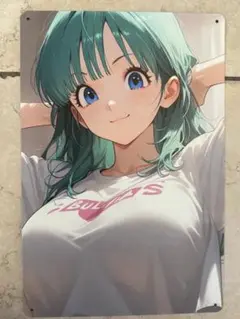 ブルマ ブリキ看板