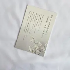 新品未使用品 喪中はがき（年賀状じまい文章）私製 10枚入り 挨拶 年賀状