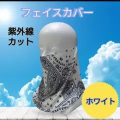 Item thumbnail for item 27637f8d-75a7-4784-a63b-9ad8cceebcc6