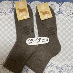 Item thumbnail for item 08b39900-d702-4195-89fc-3ca93f293b41