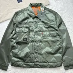 Item thumbnail for item 0a08a067-7c8e-4dbd-b1dc-8e7111af8675