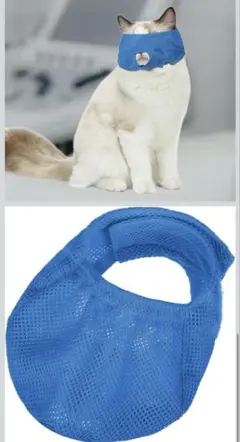 Item thumbnail for item 3d3eb407-e3a7-433e-aeac-f30e196cd7a1