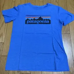 patagonia Tシャツ L12 ⭐︎美品⭐︎