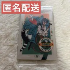 カリスマ ウエハース カード 本橋依央利 N 匿名配送