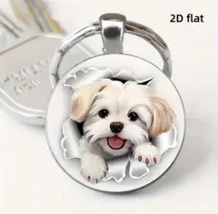 Item thumbnail for item d9eca3cc-f020-4fc5-ba04-04506ac39318