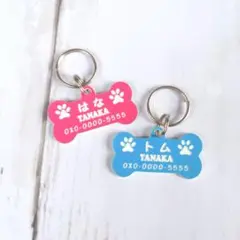Item thumbnail for item dcf198c5-73c8-4f5d-8494-2fb512f73a9b