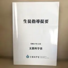 生徒指導提要