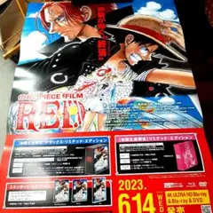 ポスター　ワンピース　ONE PIECE　107巻　非売品　告知　ポスター ポスター ワンピース ONE PIECE 107巻 非売品 告知 ポスター