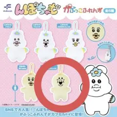 んぽちゃむ かぷっこふれんず