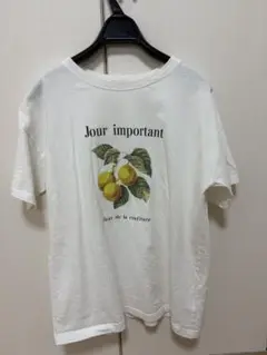 Samansa Mos2 半袖Tシャツ Fサイズ