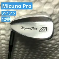 Item thumbnail for item b122d55e-a463-4af9-9746-7ebd5c30ef09