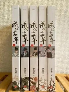 成化十四年 全5巻 夢溪石