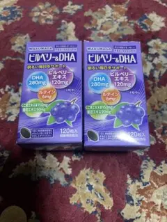 ビルベリー&DHA 120錠 ×2