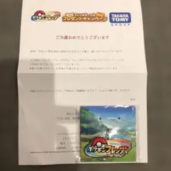 ポケモンフレンダ⭐︎プレゼントキャンペーン⭐︎キーホルダー⭐︎500個限定！