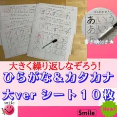 繰り返しなぞりながら、文字の練習　ひらがなカタカナ　シート10枚＋消せるマーカー