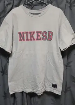 NIKE SB グレー Tシャツ　カレッジロゴ　ナイキ