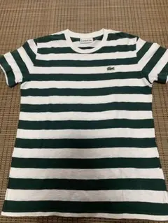 【LACOSTE 】Tシャツ　ラコステTシャツ　サイズ3