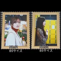 星野みなみ B5サイズ 額入り