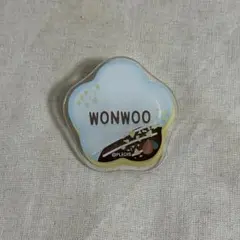 SEVENTEEN ウォヌ アクリルバッジ