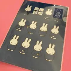 【限定】生誕70周年ミッフィー展　ミニファイル