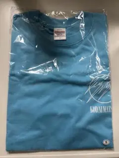 Item thumbnail for item d4c58819-12b0-4934-83be-ec03da3bb7d9