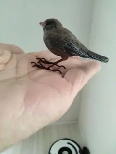 アメリカの小鳥　バードカービング