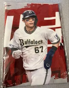 オリックスバファローズ　コロチャレB 67 中川圭太