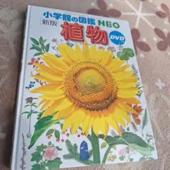 小学館の図鑑　NEO　植物　DVD付き