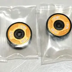 テーラーメイド TPリザーブ TRUSS GT MAX パター対応 ウェイト