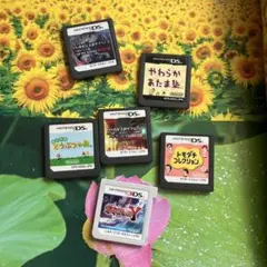たん様　ニンテンドーDS ゲームソフトセット