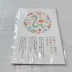 年賀状じまい2025 私製10枚入り パピレイJIM-501 巳年 へび