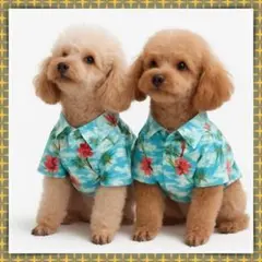 Item thumbnail for item d09a01d3-8cd4-4015-a11f-90285261a9ac