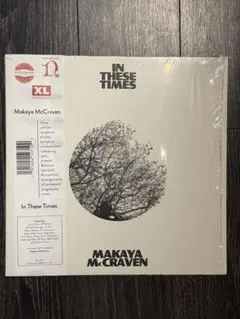 LP Makaya McCraven - In These Times