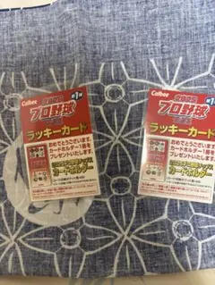 2025 プロ野球チップス ラッキーカード2枚セット